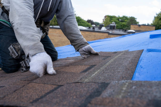 Best Residential Roofing Contractor  in Marion, IL