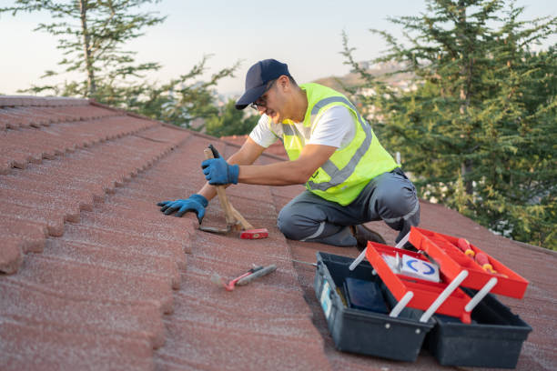 Best Roof Maintenance Services  in Marion, IL