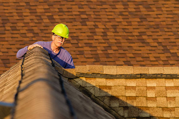 Best Roof Repair Services  in Marion, IL