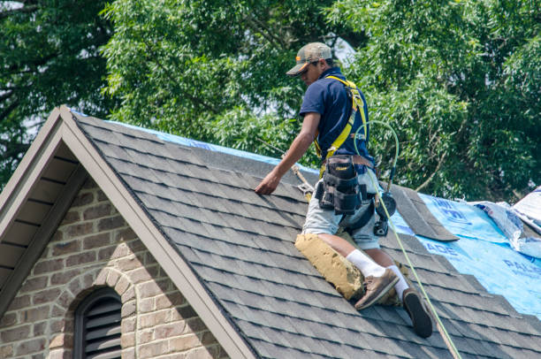 Best Best Roofing Contractors  in Marion, IL